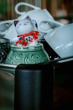 phản hồi Nohu