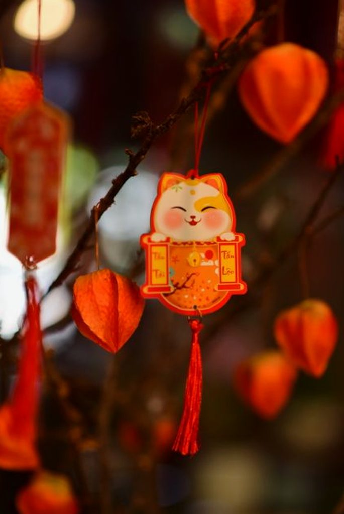 phản hồi Nohu